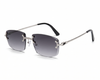 Silver with Sunglass Tint angle